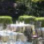 Sternengarten