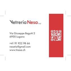 Vetreria Nesa Sagl
