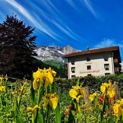 H+ Hotel Sonnwendhof Engelberg