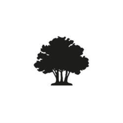 Trinatura GmbH