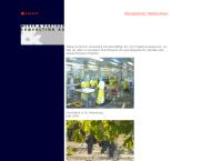 Weber & Partner Consulting AG