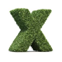 Meyer Xaver AG