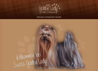 Yorkshire Terrier Of Golden Lady