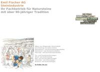 Website von Fischer Emil AG
