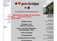 Pro-Bridge