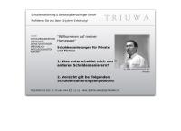Triuwa Consulting René Bertschinger