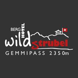Gemmi Lodge 2350