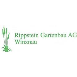 Rippstein Gartenbau AG