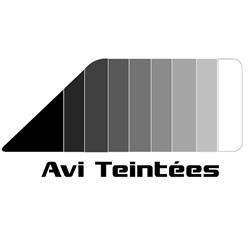 Avi Teintées Tuculescu Christian