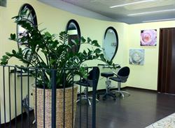 Moda Coiffure