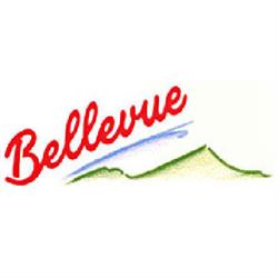 Hotel-Restaurant Bellevue