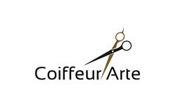 Coiffure Arte