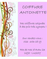 Salon de coiffure Antoinette