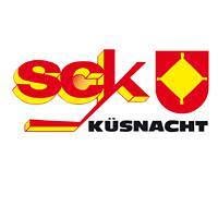 Kunsteisbahn Küsnacht
