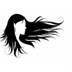 Adonis Coiffure