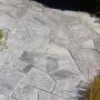 Rasen Pflanzen Gartenbau Winterthur