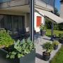 Zürich Winterthur Pflege Rasen Pfanzen