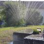 Zürich Winterthur Pflege Rasen Pfanzen
