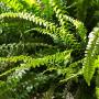 Teichbeleuchtung Pflege Garten Winterthur
