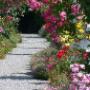 Blumen Pflanzen Baumpflege