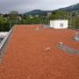 Netzer AG, Solothurn