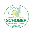 Schober Giardini