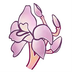 Thaï Orchidée Lausanne