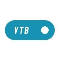 VTB Voigt Treuhand & Beratungs AG