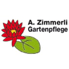 Zimmerli Arnold