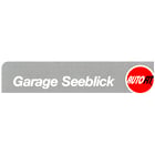 Seeblick Brandes AG