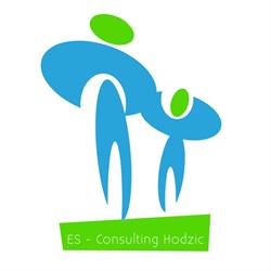 Es-Consulting Hodzic