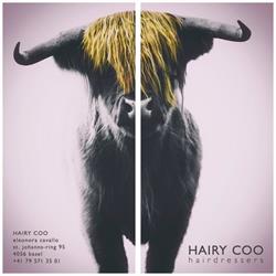 Coiffeursalon Hairy Coo