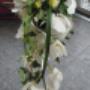 Blumenhaus Philibert Zurbriggen AG