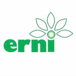 Blumenhaus Erni