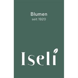 Blumen Iseli