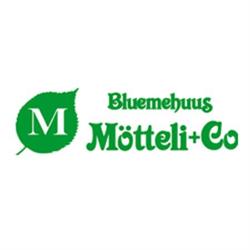 Bluemehuus Mötteli + Co.