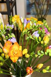 Blumen Vogel, Daniela Hügli-Erne