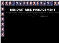 Hutter & Partner Dendrit Risk Management
