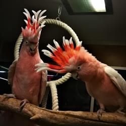 Zoo Widmer & Co