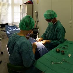 Dr. med. Carsten Schindler