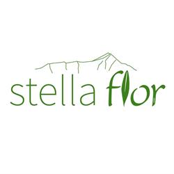 Stella-Flor GmbH