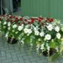 # 1