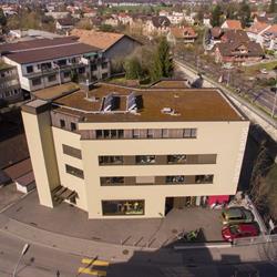 Freie Evangelische Gemeinde Steffisburg