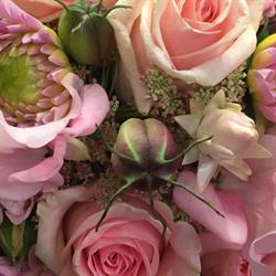 Reto Ceberg, Blumen am Bach