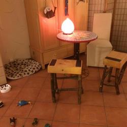 Des Pattes Au Museau