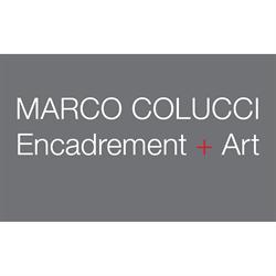 MARCO COLUCCI