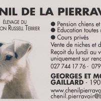 CHENIL DE LA PIERRAVOIR Sàrl
