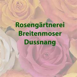 Breitenmoser Pflanzencenter GmbH