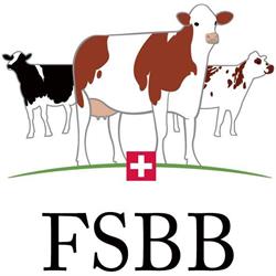 FSBB fédération des sélect. de bétail Bovin