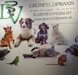 Dr.med.vet. P. Düblin Kleintierpraxis Grünfeld